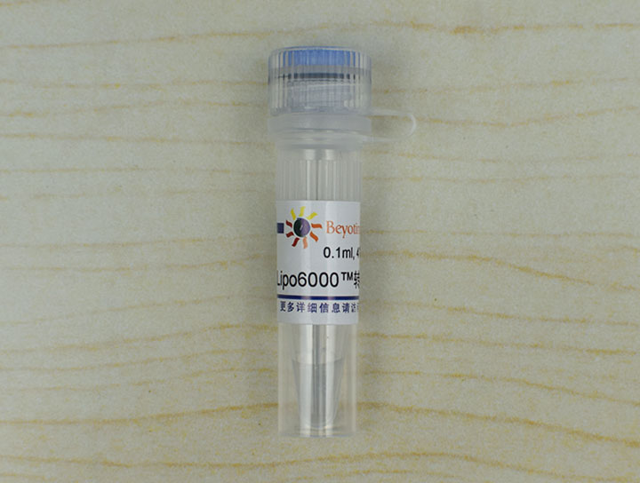 Lipo6000™转染试剂(试用装)(C0526FT)