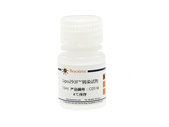 Lipo293F™转染试剂(C0518-10ml)