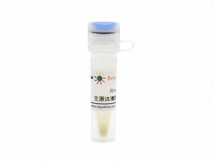 支原体清除试剂(C0288S)