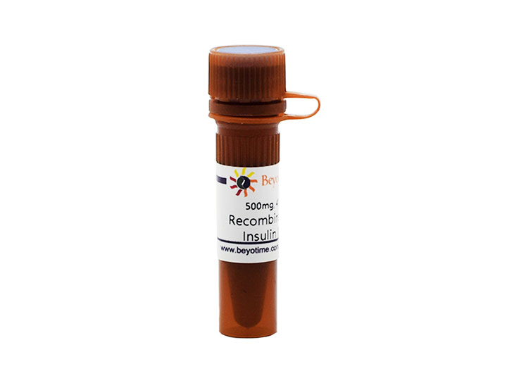 Recombinant Human Insulin (Powder)(P3378-500mg)