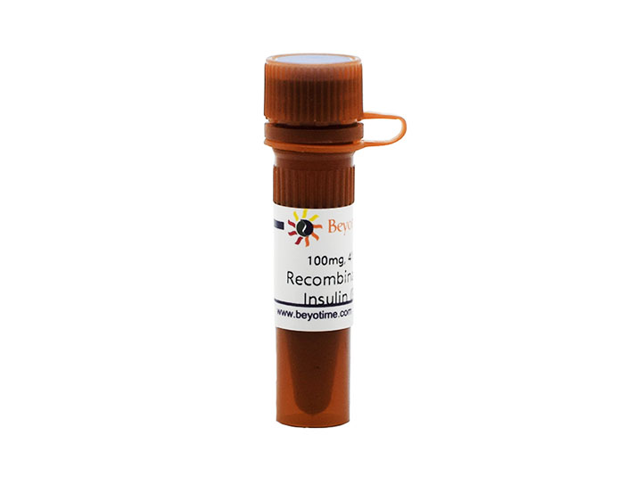 Recombinant Human Insulin (Powder)(P3378-100mg)