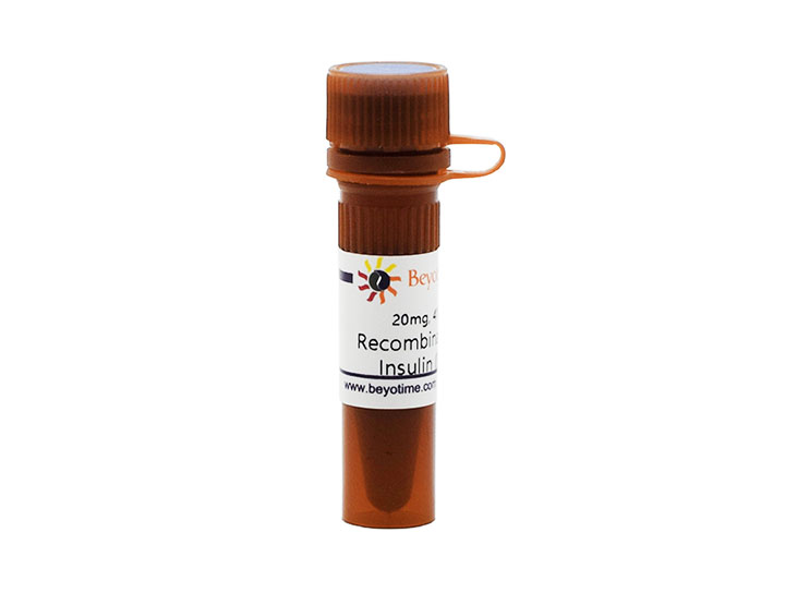 Recombinant Human Insulin (Powder)(P3378-20mg)