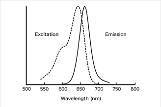 Phos-tag&trade; 凝胶荧光染料-蛋白研究-wako富士胶片和光