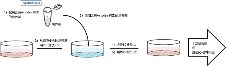 AcroleinRED-细胞培养-wako富士胶片和光