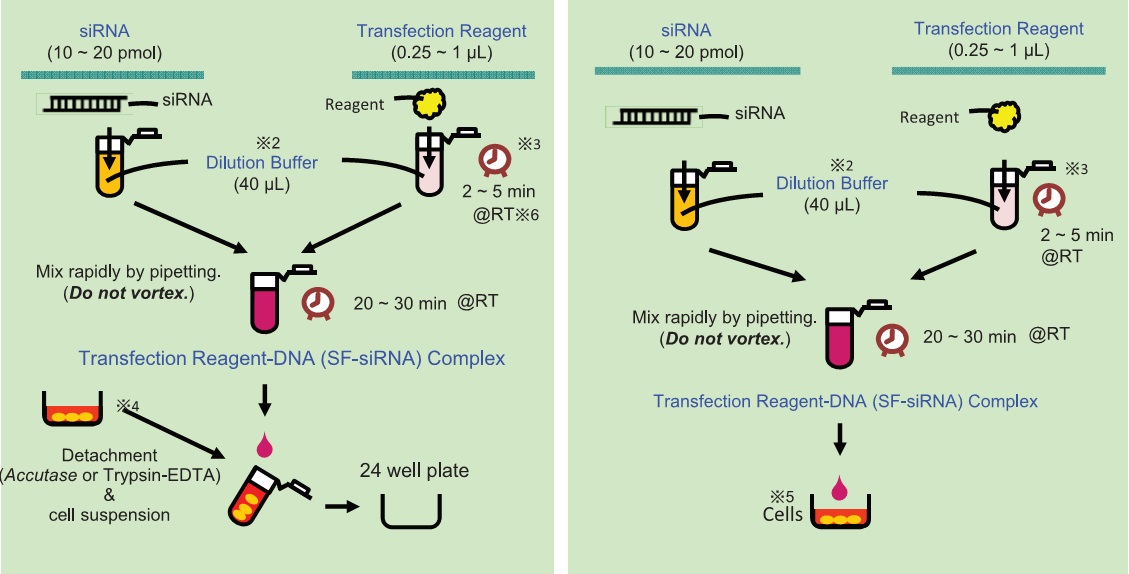 295-75003-ScreenFect&trade; siRNA   siRNA转染试剂-生物试剂-wako富士胶片和光