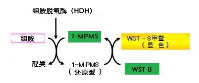 Histamine Test 组氨检测试剂盒-一般化学试剂-wako富士胶片和光