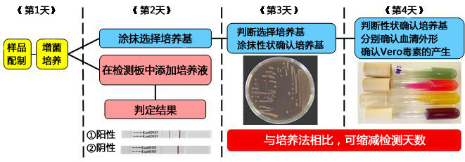食品分析食品安全-日本和光Wako食品分析-NH免疫层析 VT1/2-食品分析-wako富士胶片和光