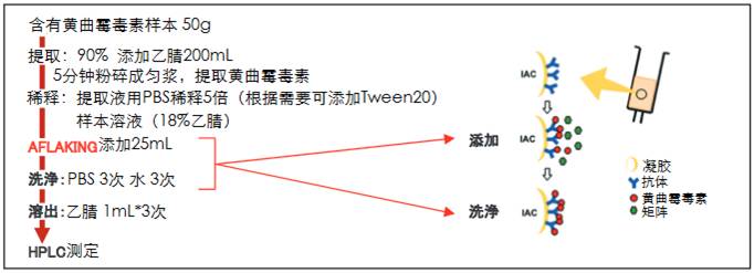 食品分析食品安全-日本和光Wako食品分析-磺曲霉毒素和赭曲霉毒素提取用免疫亲和柱-食品分析-wako富士胶片和光