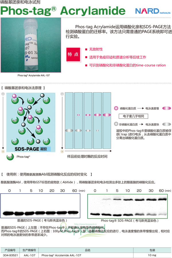 AAL-107-磷酸化蛋白检测 Phos-tag丙烯酰胺-磷酸化蛋白提取-wako富士胶片和光
