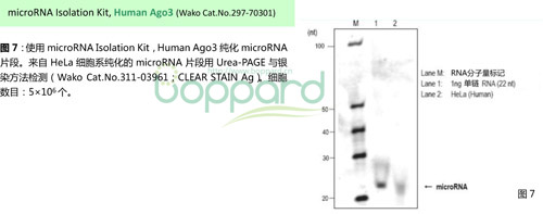 297-70301-microRNA分离试剂盒-试剂盒-wako富士胶片和光