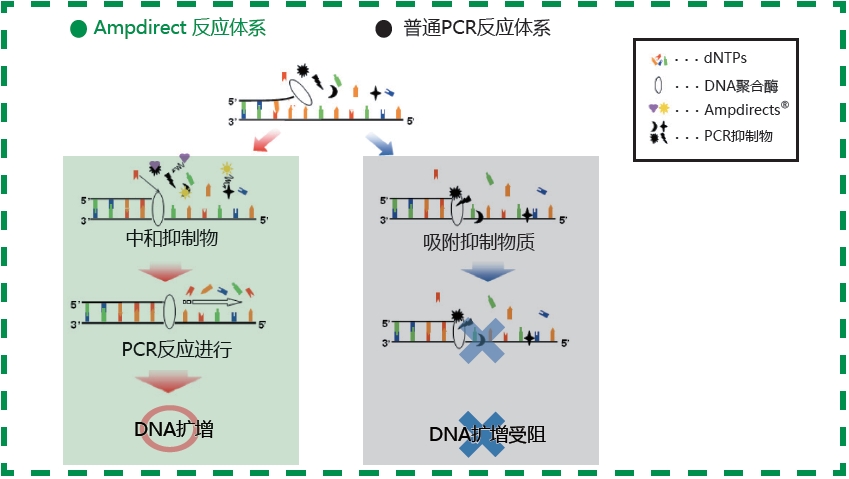 604-21469-无需DNA抽提新型PCR扩增缓冲液-缓冲液-wako富士胶片和光