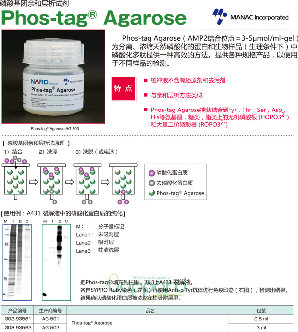 Phos-tag Agaros-磷酸化蛋白 琼脂糖磷酸基团亲和层析试剂-磷酸化蛋白提取-wako富士胶片和光