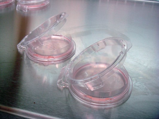 SHellDisH系列产品-细胞培养板-wako富士胶片和光