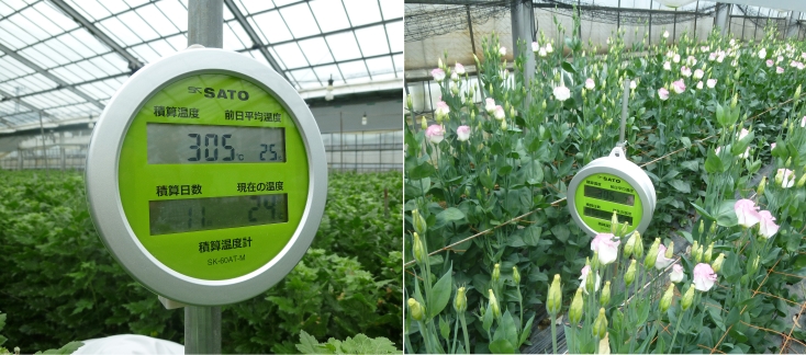 日本佐藤sksato佐藤集成温度计SK-60 AT-M-日本佐藤