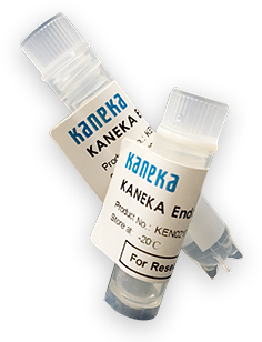 无内毒素和动物源的核酸内切酶                  KANEKA Endonuclease