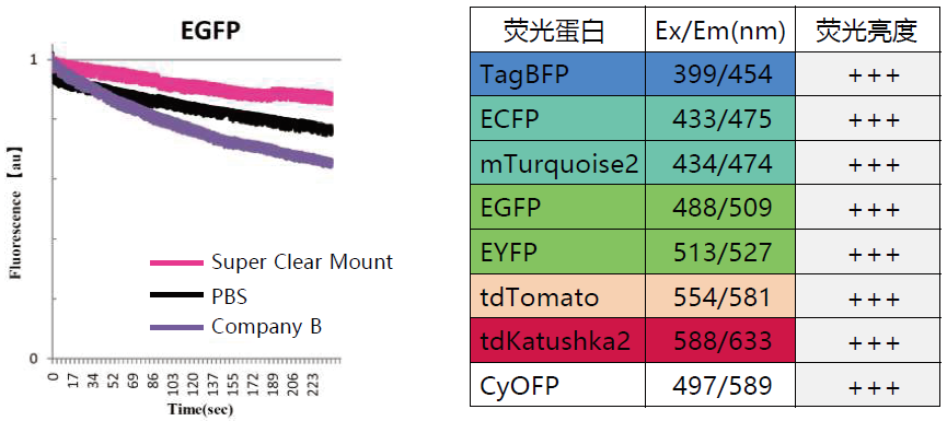 Super Clear Mount封片剂                  荧光蛋白观察用、油浸物镜适用封片剂