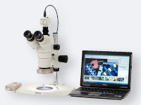 日本菊池|S300Ⅱ-M|8倍显微镜接目镜-菊池光学