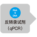 External Standard Kit (λpolyA) for qPCR