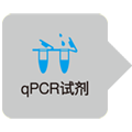 External Standard Kit (λpolyA) for qPCR