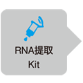 One Step PrimeScript&trade; RT-PCR Kit (Perfect Real Time)