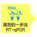 One Step PrimeScript&trade; III RT-qPCR Mix (or with UNG)