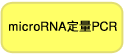 microRNA定量（qRT-PCR）