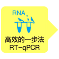 血液、尿液、粪便、细胞直接进行一步法RT-qPCR