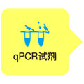 染料法qPCR试剂