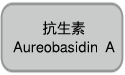 酵母双杂交文库构建