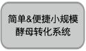 酵母双杂交文库构建