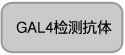 酵母双杂交文库构建