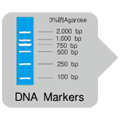 BcaBEST&trade; RNA PCR Kit Ver.1.1