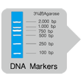 MightyAmp&trade; DNA Polymerase Ver.3