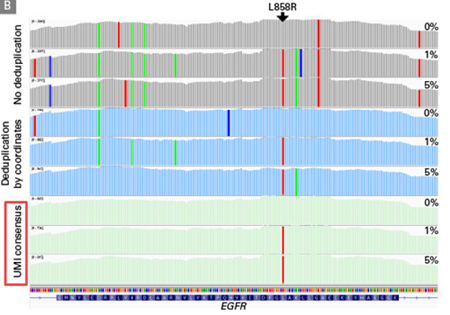 ThruPLEX&reg; Tag-Seq HV & ThruPLEX&reg; Tag-Seq HV PLUS Kit