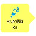 Sample Protector for RNA/DNA