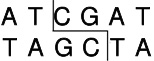 Cla I