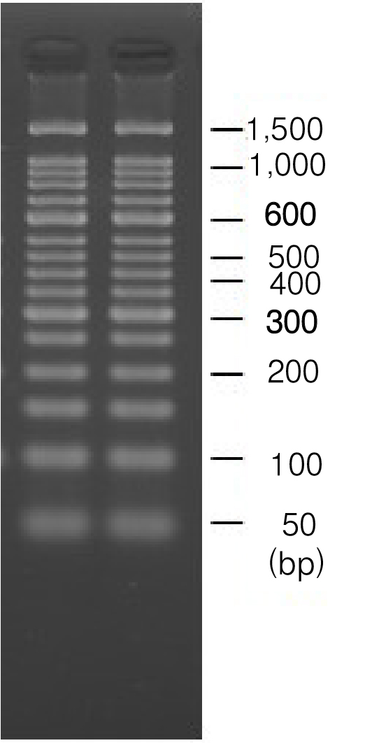PrimeGel&trade; Agarose PCR-Sieve