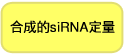 Synthetic siRNA Quantitation Core Kit