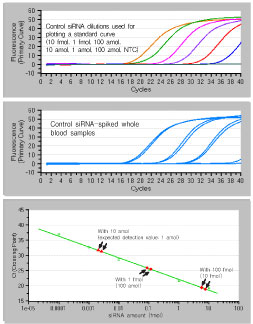 Synthetic siRNA Quantitation Core Kit