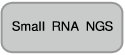 Small RNA Cloning Kit