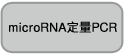 Small RNA Cloning Kit