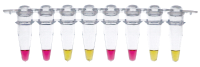 WarmStart Colorimetric LAMP 2X Master Mix (DNA & RNA) |
