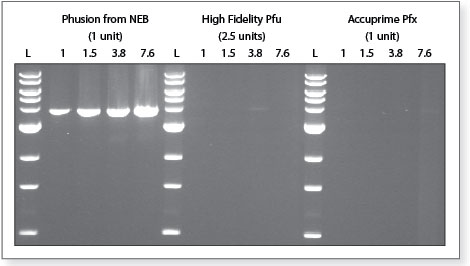 Phusion® High-Fidelity PCR Kit | NEB酶试剂 New England Biolabs