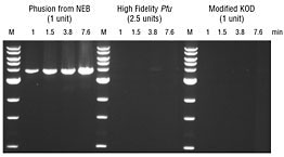 Phusion® High-Fidelity PCR Master Mix with HF Buffer | NEB酶试剂 New England Biolabs