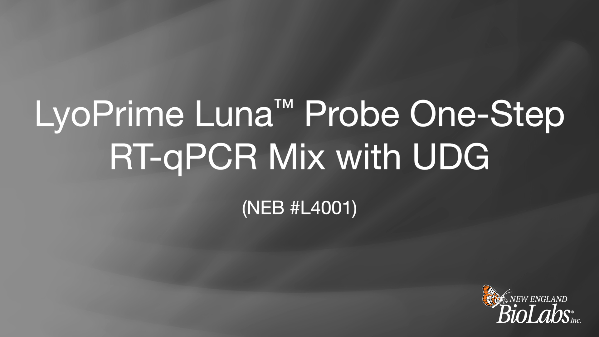 LyoPrime Luna™ Probe One-Step RT-qPCR Mix with UDG |