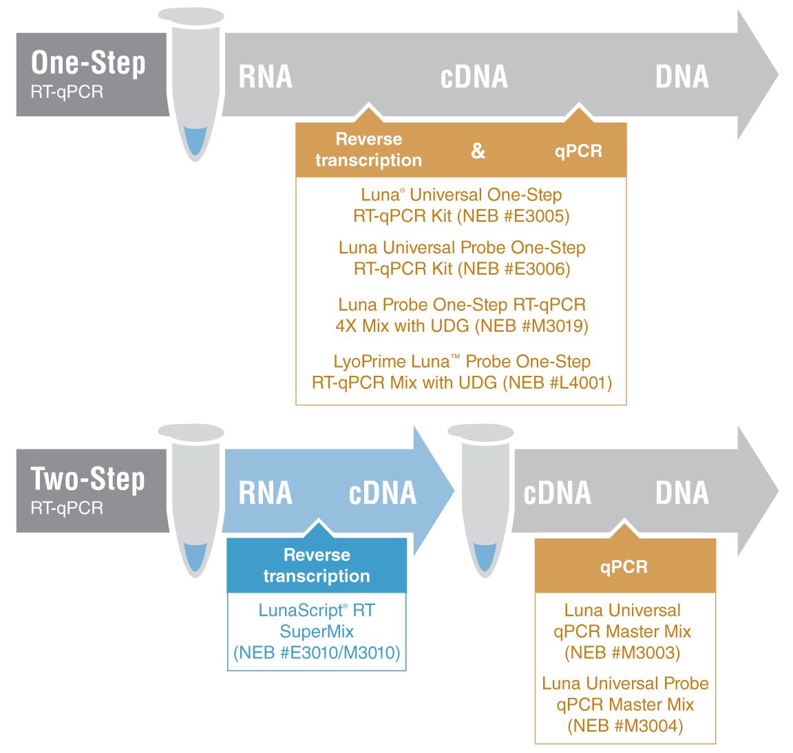 LunaScript® RT SuperMix Kit | NEB酶试剂 New England Biolabs