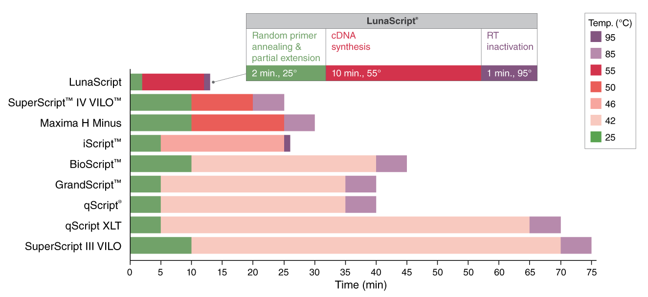 LunaScript® RT SuperMix Kit | NEB酶试剂 New England Biolabs