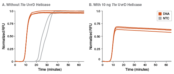 Tte UvrD Helicase |