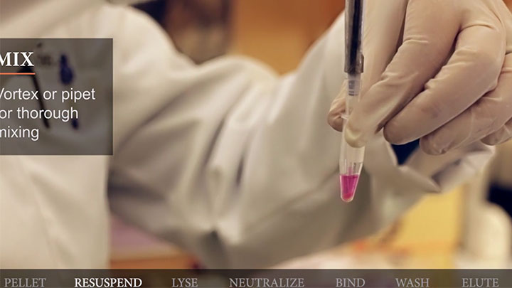 Monarch® Plasmid Miniprep Columns |