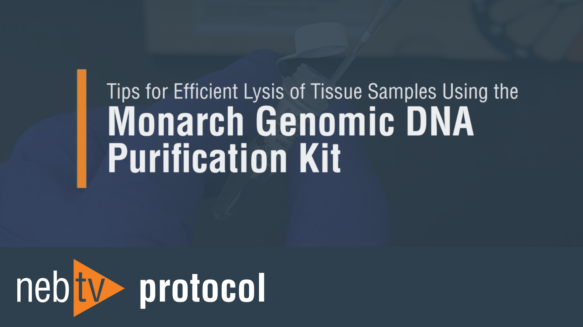 Monarch® gDNA Tissue Lysis Buffer |